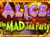 Alice And The Mad Tea Party Spielautomat