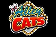 Alley Cats Spielautomat
