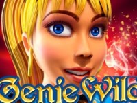 Genie Wild Spielautomat