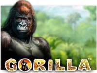 Gorilla Spielautomat