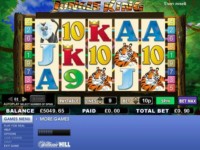 Jungle King Spielautomat