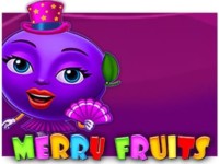 Merry Fruits Spielautomat