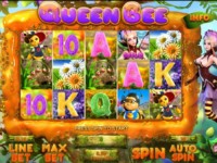 Queen Bee Spielautomat