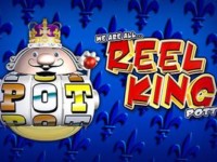 Reel King Free Spin Frenzy Spielautomat
