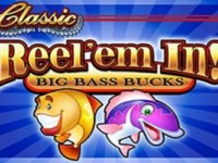 Reel'em In - Big Bass Bucks Spielautomat