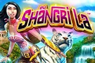 Shangri La Spielautomat