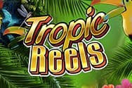 Tropic Reels Spielautomat