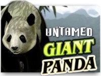 Untamed Giant Panda Spielautomat