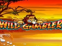 Wild Gambler Spielautomat