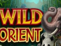 Wild Orient Spielautomat