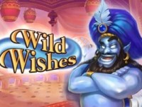 Wild Wishes Spielautomat
